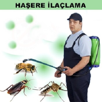 Akyazı Böcek İlaçlama